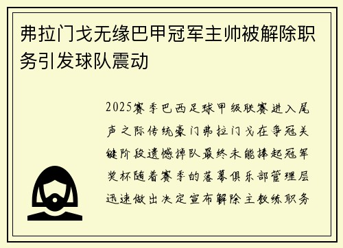 弗拉门戈无缘巴甲冠军主帅被解除职务引发球队震动 弗拉门戈无缘巴甲冠军主帅被解除职务引发球队震动